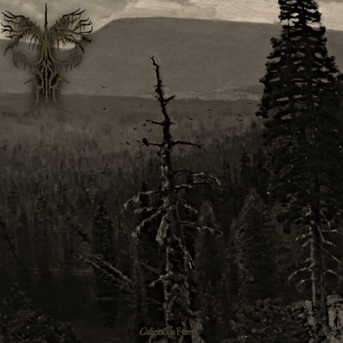 Ancient Boreal Forest : Caliginous Forest